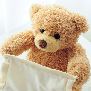 Teddy Bear Pica boo