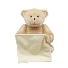 Load image into Gallery viewer, Teddy Bear Pica boo
